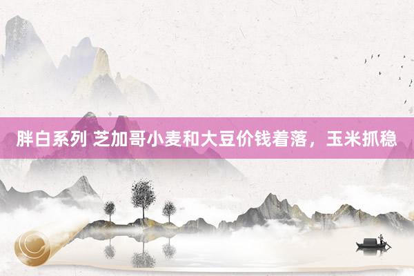胖白系列 芝加哥小麦和大豆价钱着落，玉米抓稳