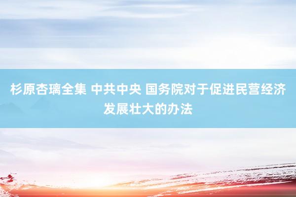 杉原杏璃全集 中共中央 国务院对于促进民营经济发展壮大的办法