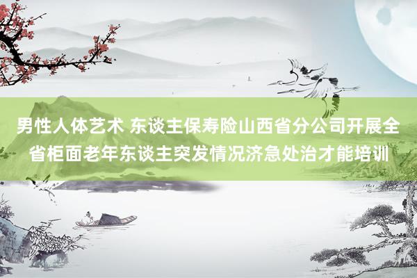 男性人体艺术 东谈主保寿险山西省分公司开展全省柜面老年东谈主突发情况济急处治才能培训