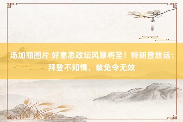 汤加丽图片 好意思政坛风暴将至！特朗普放话：拜登不知情，赦免令无效