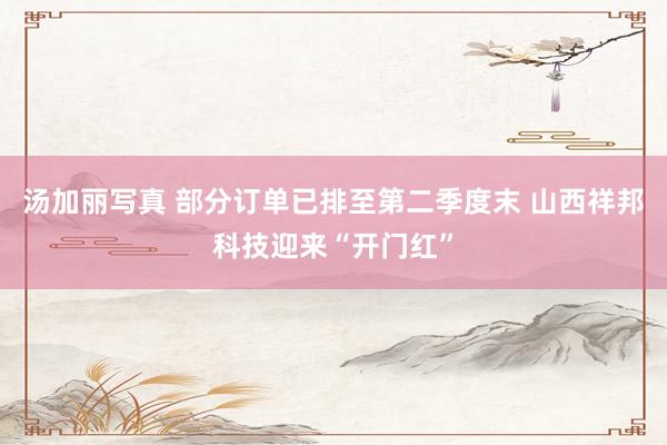 汤加丽写真 部分订单已排至第二季度末 山西祥邦科技迎来“开门红”