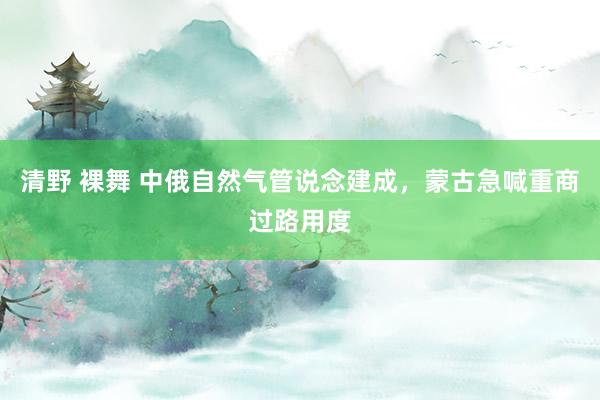 清野 裸舞 中俄自然气管说念建成，蒙古急喊重商过路用度