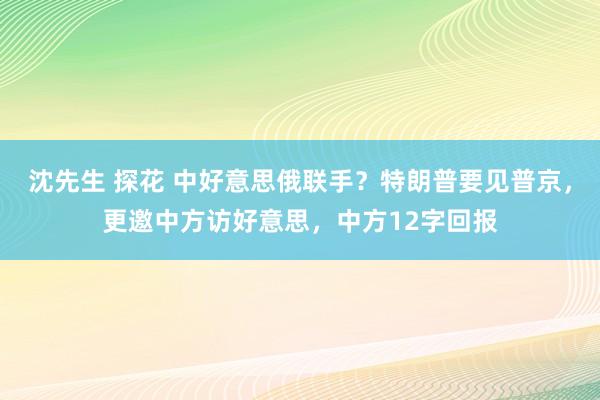 沈先生 探花 中好意思俄联手？特朗普要见普京，更邀中方访好意思，中方12字回报