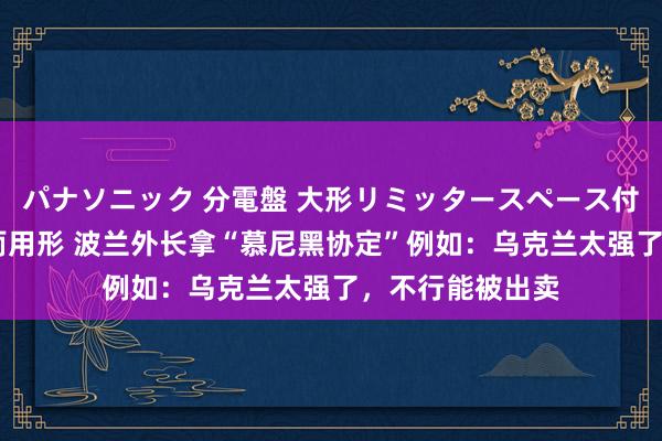 パナソニック 分電盤 大形リミッタースペース付 露出・半埋込両用形 波兰外长拿“慕尼黑协定”例如：乌克兰太强了，不行能被出卖