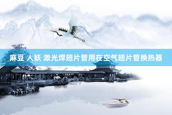 麻豆 人妖 激光焊翅片管用在空气翅片管换热器