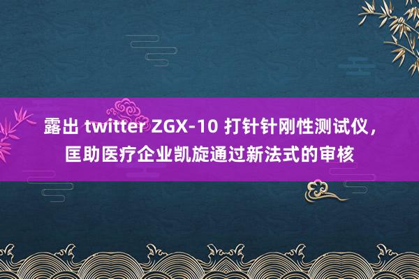 露出 twitter ZGX-10 打针针刚性测试仪，匡助医疗企业凯旋通过新法式的审核