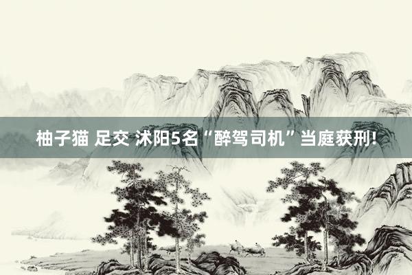 柚子猫 足交 沭阳5名“醉驾司机”当庭获刑!