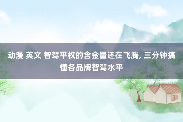 动漫 英文 智驾平权的含金量还在飞腾, 三分钟搞懂各品牌智驾水平