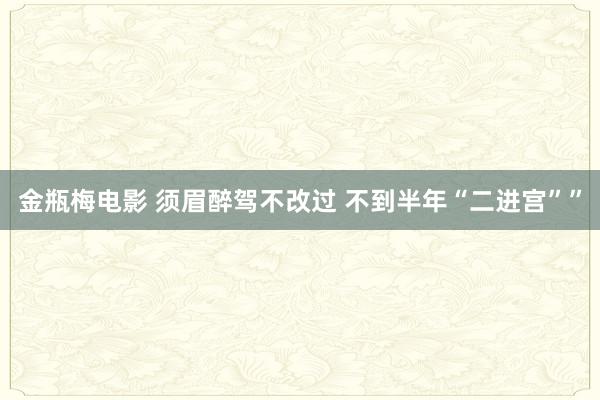 金瓶梅电影 须眉醉驾不改过 不到半年“二进宫””