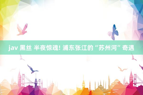 jav 黑丝 半夜惊魂! 浦东张江的“苏州河”奇遇
