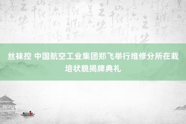 丝袜控 中国航空工业集团郑飞举行维修分所在栽培状貌揭牌典礼