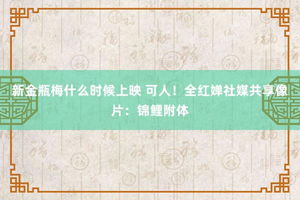 新金瓶梅什么时候上映 可人！全红婵社媒共享像片：锦鲤附体