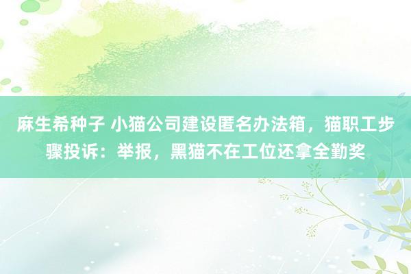 麻生希种子 小猫公司建设匿名办法箱，猫职工步骤投诉：举报，黑猫不在工位还拿全勤奖