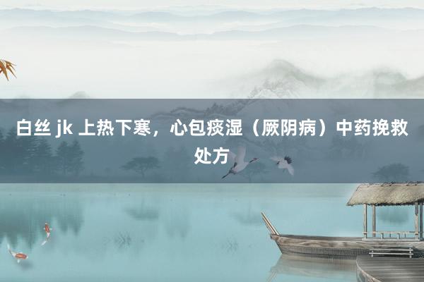 白丝 jk 上热下寒，心包痰湿（厥阴病）中药挽救处方