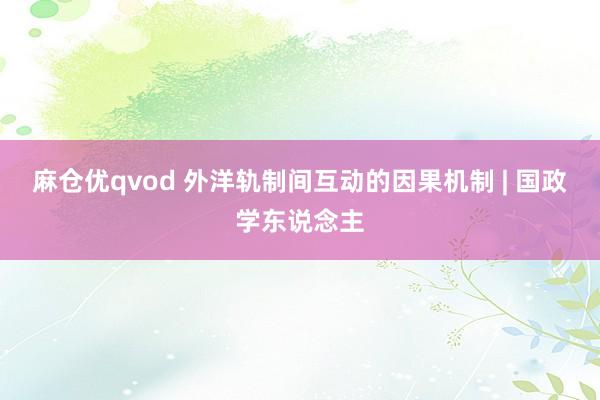 麻仓优qvod 外洋轨制间互动的因果机制 | 国政学东说念主