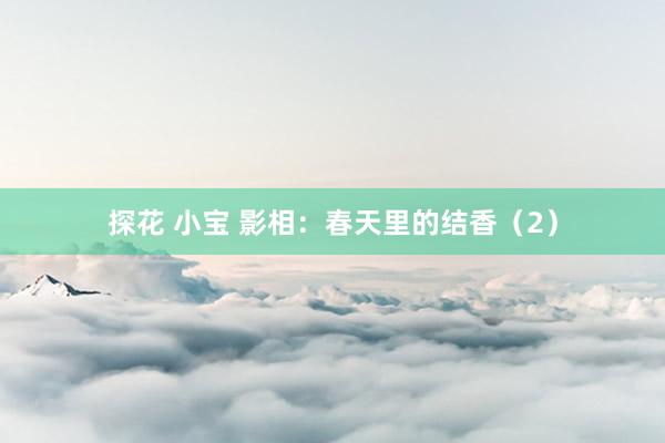 探花 小宝 影相：春天里的结香（2）