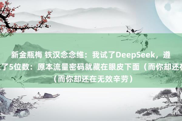 新金瓶梅 铁汉念念维：我试了DeepSeek，遵守24小时赚了5位数：原本流量密码就藏在眼皮下面（而你却还在无效辛劳）